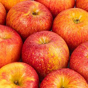 정품 사과 2.5kg 15과내