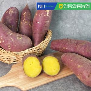 안동와룡농협 믿고 먹는 꿀밤고구마 (중상품) 10kg