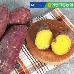 [안동와룡농협] 꿀맛 밤고구마 3kg 중상품 5kg / 10kg 선택가능