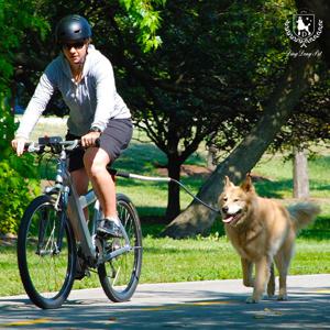 강아지 자전거 리드줄 산책로프