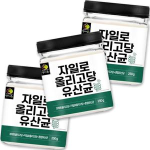 자일로올리고당유산균 분말 250g*3팩