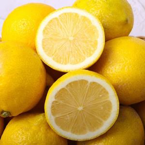 국내산 제주도 청정 무농약 레몬 생레몬