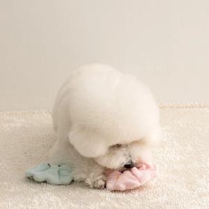 오래 하는 노즈워크 넥카라 장난감 2개입