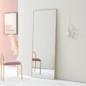 선명한 은경 스틸엣지 바프레임 전신거울(700 3컬러)