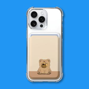 아칸 데이빗 곰돌이땡구 맥세이프 카드지갑