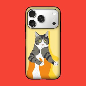 아칸 벼기 으잉고양이 카드범퍼케이스