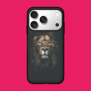 아칸 라이언 카드범퍼케이스