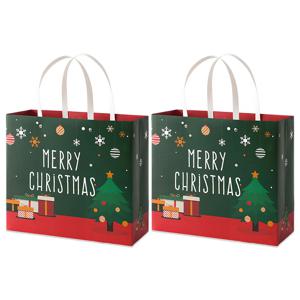 크리스마스 선물 포장 종이가방 2p 그린 라지