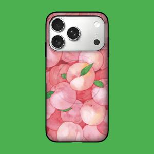 아칸 DAAE 복숭아 맥세이프 카드케이스