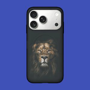 아칸 라이언 맥세이프 카드케이스