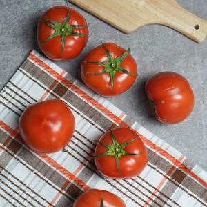 망토맛토 스테비아 완숙토마토 2kg