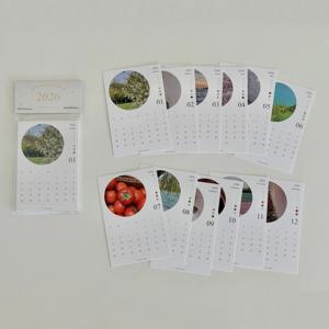 2026 미니 카드 달력