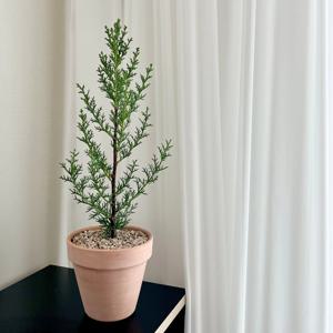 이탈리안 사이프러스 외목대 크리스마스 나무 이태리토분 장식 데코 소품