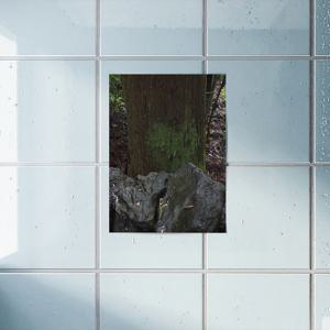 하트이끼포스터 화장실포스터 방수포스터 욕실포스터 숲포스터 자연포스터