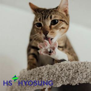 HS효성스완카페트 타일카페트 빌더스 국산카페트 셀프인테리어 DIY 난방효과