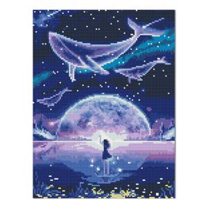 DIY LED 보석십자수 - 고래와 소녀
