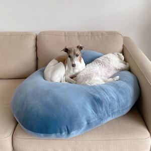 대형 쫀득 말랑 츄이 소파 쿠션 바디필로우 5colors