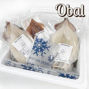 반건조오징어5미 1kg(원양산)