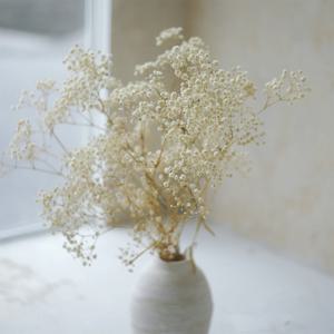 프리저브드 천연 안개꽃