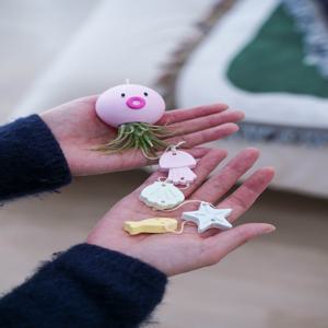 이오난사 DIY키트 식물 오브제 행잉화분 모빌형 문어지지마