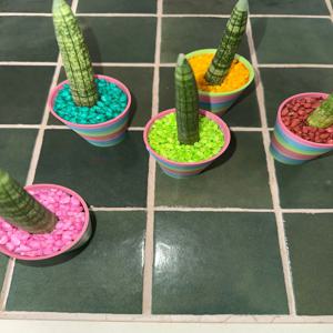 스투키 아로팟 화분 식물 인테리어 플랜테리어 집들이선물 유니크