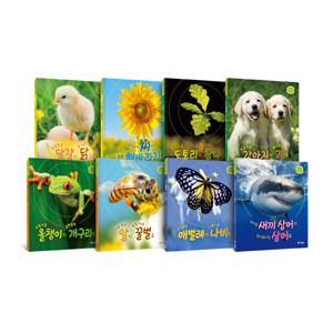 한살이 자연 관찰(전8권세트)