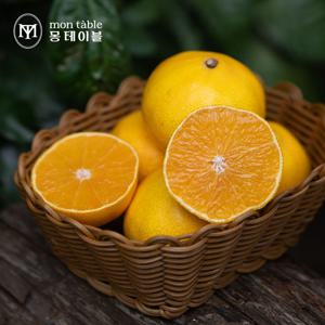 제주 황금향 4.5kg(소과 25-35과)