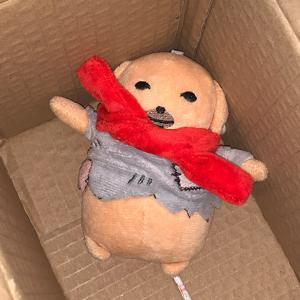 귀여운 강아지 빨간목도리 누댕이 시골개 인형 키링