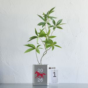 파키라 조화 2026년 캘린더 + 홀스 틴 케이스 오브제 달력 작은방꾸미기