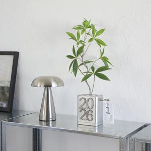 파키라 조화 2026년 캘린더 + 미니 마그넷 액자 오브제 달력 작은방꾸미기