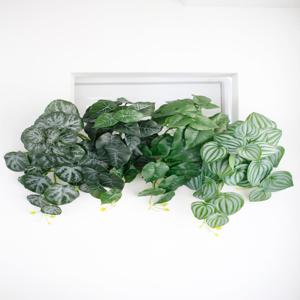 플랜테리어 넝쿨 조화 식물 벽면 천장 플랜트월 장식