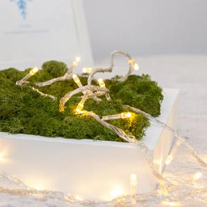 크리스마스 건전지 전구 트리 장식 고이도 겸용 LED 30P 치구전용 투명선