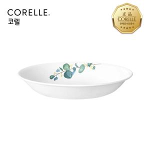 코렐 유칼립투스 찬기대