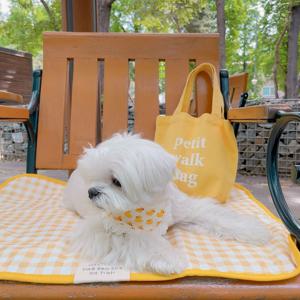 코지러그_Yellow 강아지매트 양면매트 방수매트 강아지산책매트