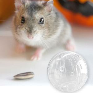 햄스터 쳇바퀴 장난감