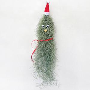 수염 틸란드시아 크리스마스 요정 트리