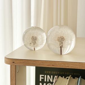 민들레문진 단델리온 생화 홀씨 플라워 꽃 페이퍼웨이트 책누르개