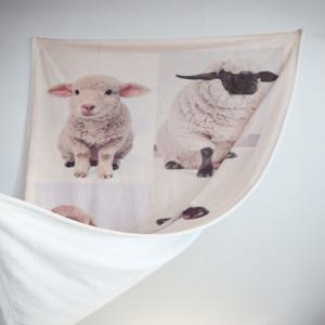 롱리브더쉽 블랭킷 극세사 담요 캠핑 감성 디자인담요 양담요