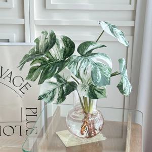 몬스테라 알보 조화 뿌리 무늬 수경 플랜테리어