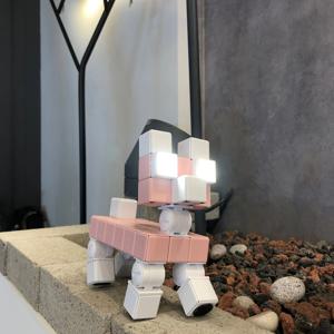 SMART DOG_스마트 도그