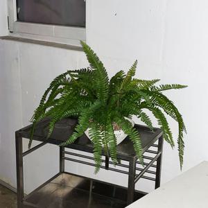 리얼플랜트 조화나무 보스턴고사리 30-50cm 플랜테리어 인테리어 포인트오브제