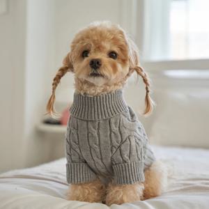 강아지옷 애견 실내복 가을 겨울옷 테디 풀오버 니트 그레이 (B022_GR)