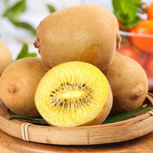 국내산 골드키위 5kg 중(개당 60-80g내외)
