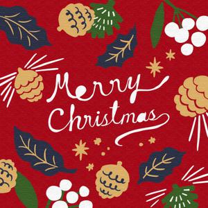 DIY 명화그리기 메리 크리스마스 20X20cm