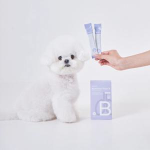 펫누리 뉴트리션플랜B 강아지 기관지 영양제 기침 호흡기 켁켁거림 감기 건강 츄르