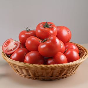 국내산 완숙토마토 (못난이주스용/정품로얄과) 3kg/5kg 선택