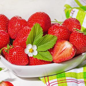 논산 생 설향 딸기 700g 한입과(42구)