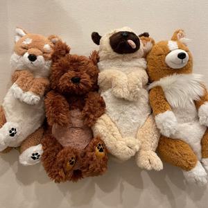 무릎인형 잠자는 쓰야쓰야 강아지