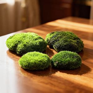 테라리움 진짜같은 이끼 모형 4종세트