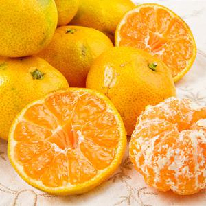 하루 한정 100박스! 당도선별 고당도 타이벡 감귤 2.5kg 11brix 이상 로얄과(2S~M)